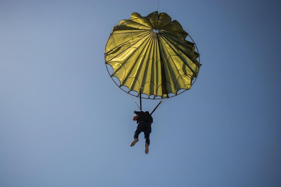 what colour is your parachute pdf