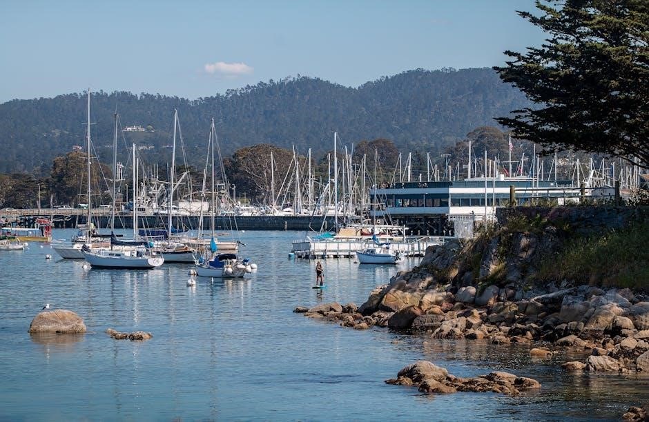 monterey b.t. instructions