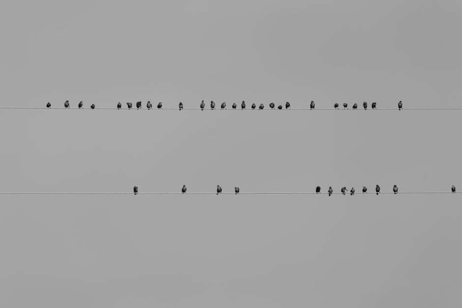 modified epley maneuver pdf