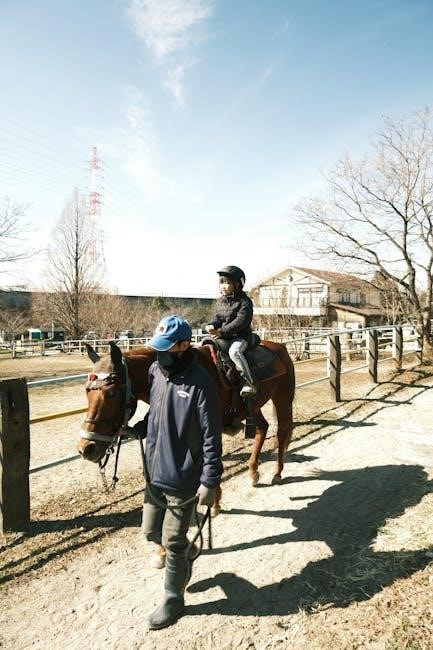learn to skate instructor manual