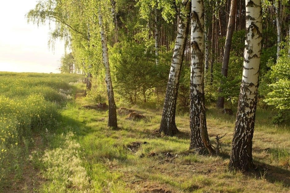 june 2014 calendar pdf