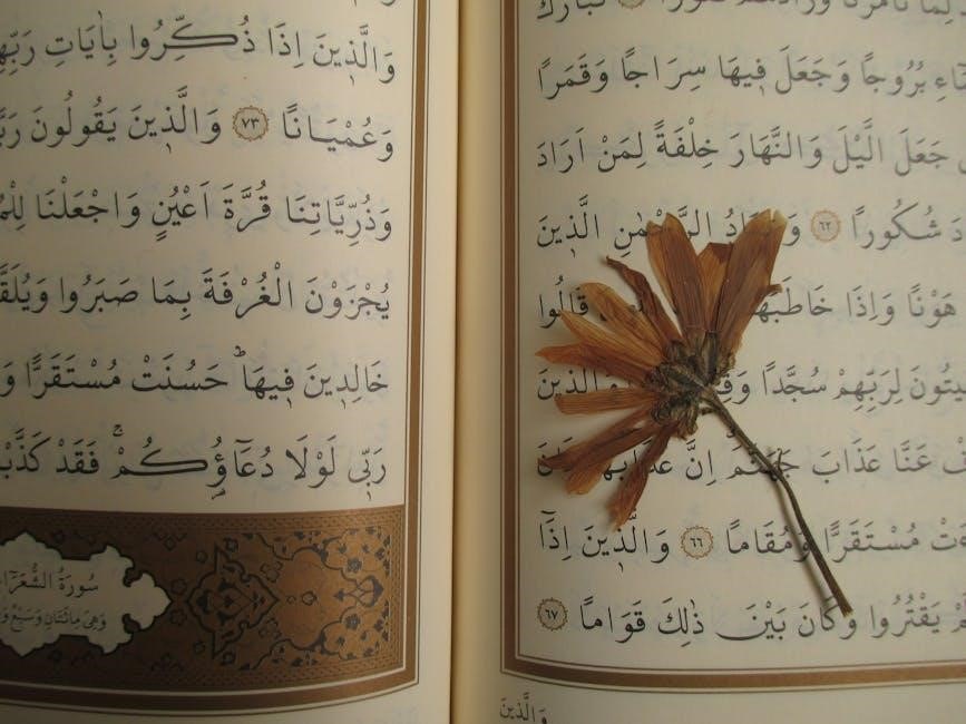 learn arabic words pdf