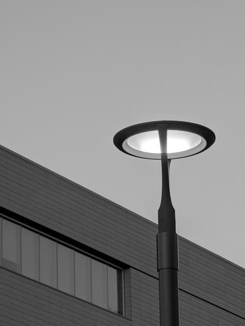 wildflowers of nova scotia field guide