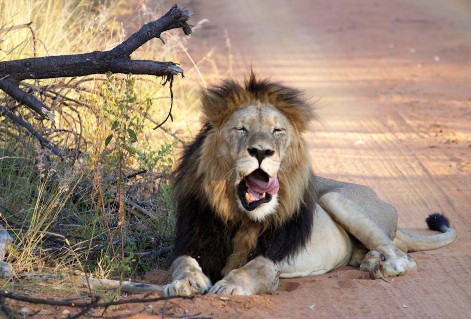 the once and future king pdf